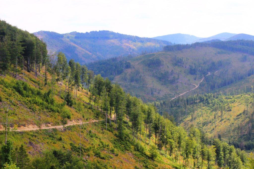 droga prowadząca żółtym szlakiem na Wielką Raczę widoczna ze szlaku, na tle widoków na Beskid Żywiecki