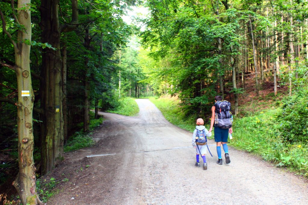mężczyzna i dziecko idący żółtym szlakiem, szeroką utwardzoną drogą leśną