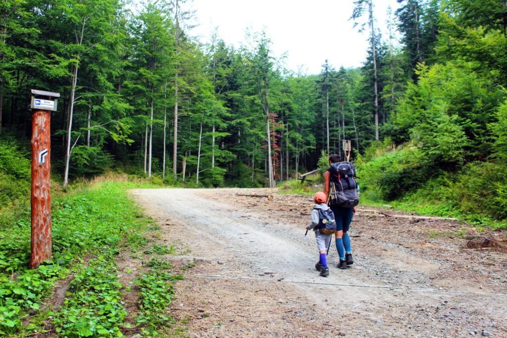 mężczyzna i dziecko idący czarnym szlakiem szeroką utwardzoną drogą
