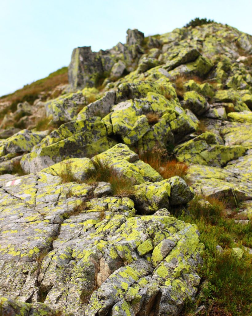 skalne zejście ze szczytu Brestowa - czerwonym szlakiem w stronę Salatyńskiego Wierchu
