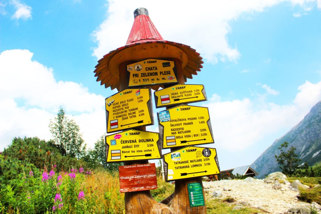 tablica w kolorze żółtym oznaczająca Chatę nad Zielonym Stawem Kieżmarskim oraz pięć innych tablic opisujących szlaki prowadzące ze schroniska nad Zielonym Stawem, po prawej wierzbówki kiprzycy, a po lewej utwardzona droga 