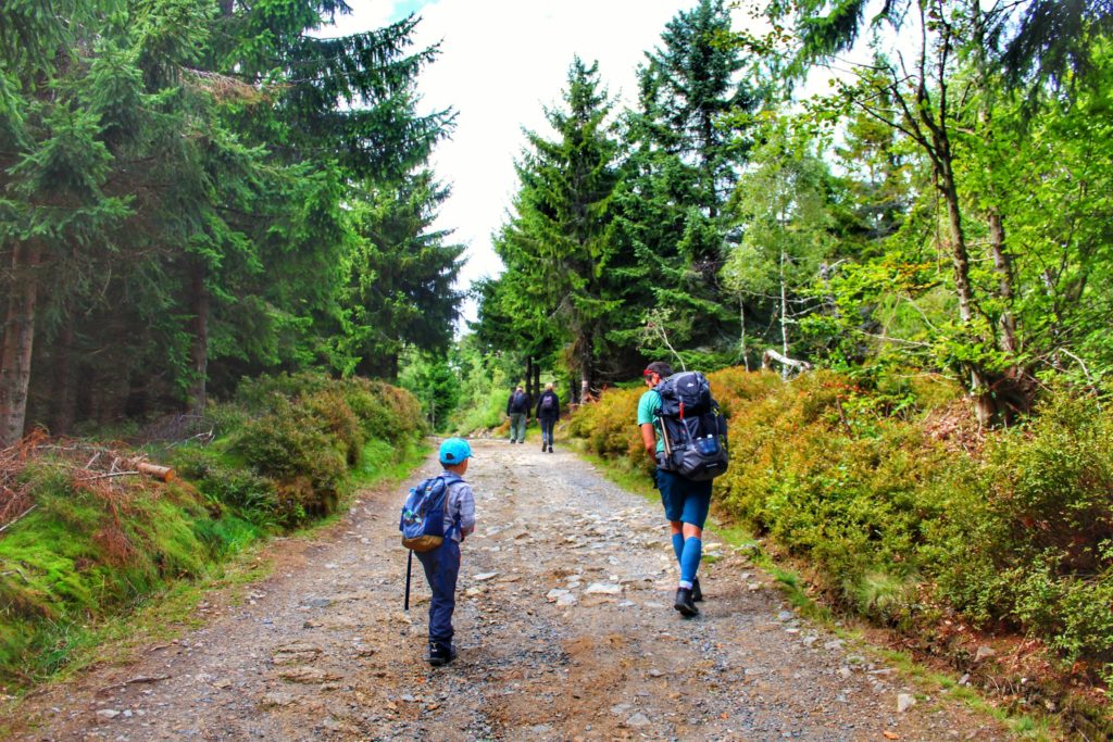 Szeroka droga na żółtym i czerwonym szlaku na Wysoki Kamień, turysta z dzieckiem