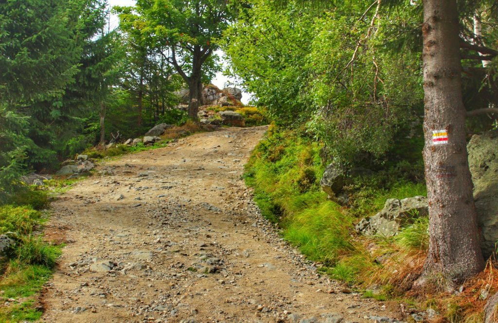 Szeroka i kamienista droga, szlak żółty i szlak czerwony na Wysoki Kamień, Szklarska Poręba