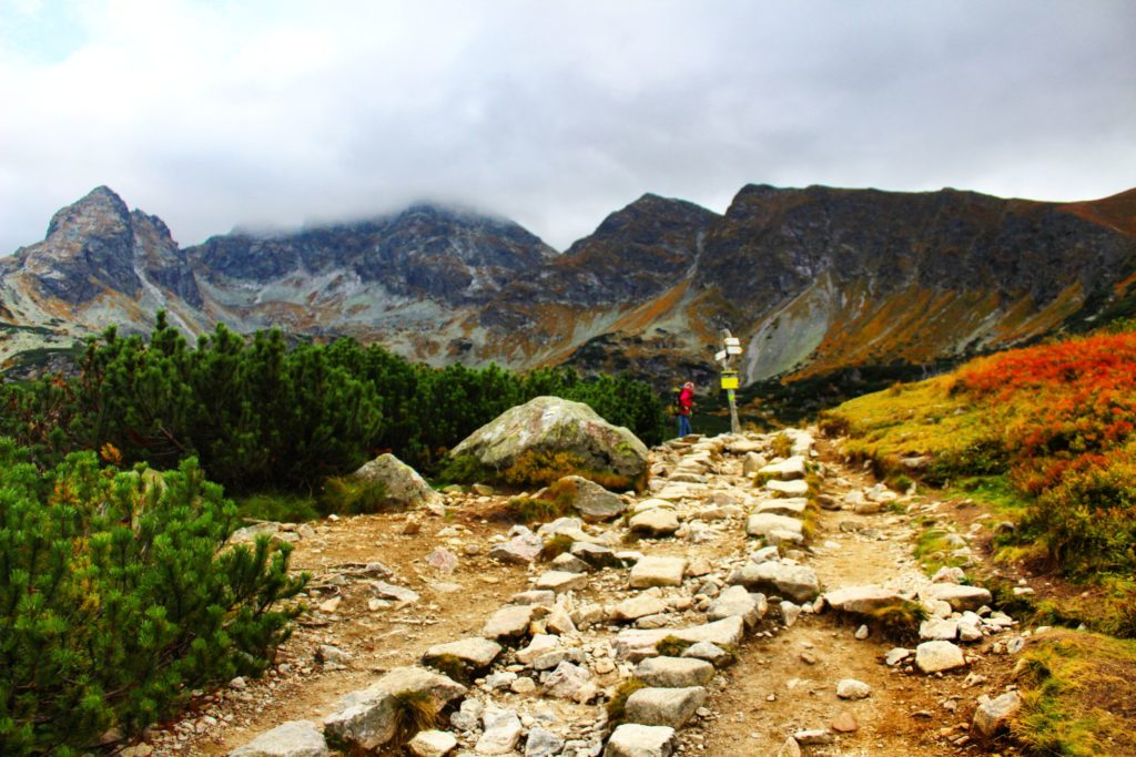 Tatrzańskie szczyty na żółtym szlaku prowadzącym z Kasprowego, kamienny chodnik, w tle miejscwe odbicia czarnego szlaku do Świnickiej Przełęczy