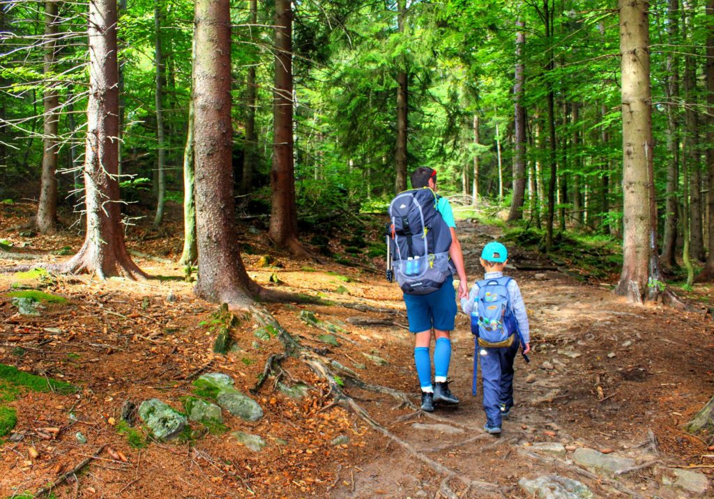Turysta z dzieckiem idący leśną ścieżką na żółtym szlaku w Szklarskiej Porębie