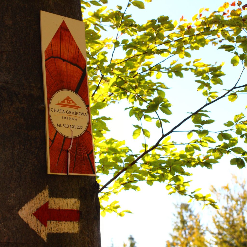 biało czerwona strzałka na drzewie, odbicie czerwonego szlaku w lewo do Chaty Grabowa