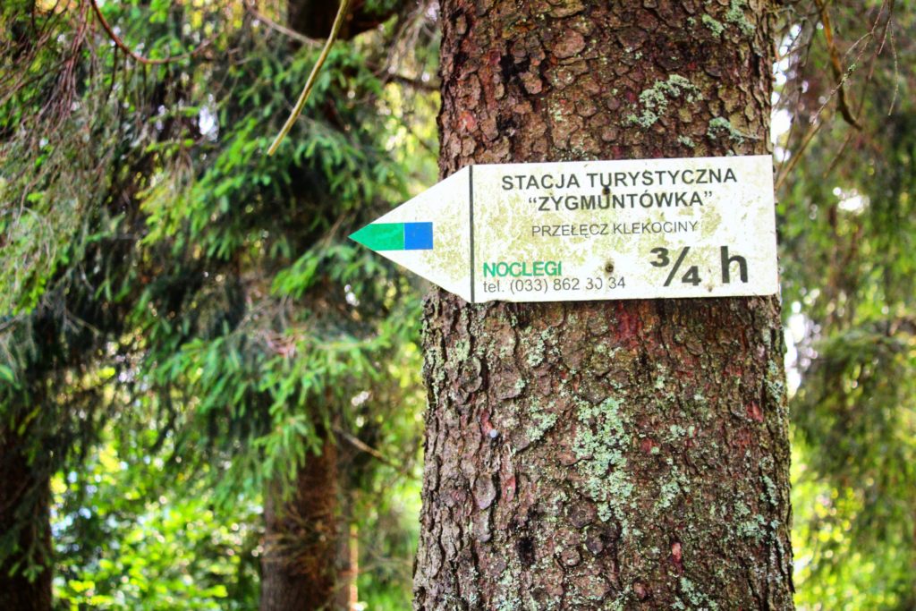 drogowskaz wiszący na drzewie informujący o czasie równym 45 minut - dojście do Stacja Turystyczna Zygmuntówka