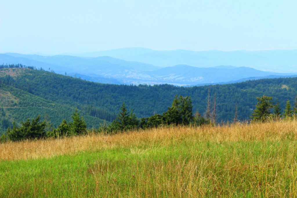 krajobraz górski rozciągający się z Hali Kamińskiego