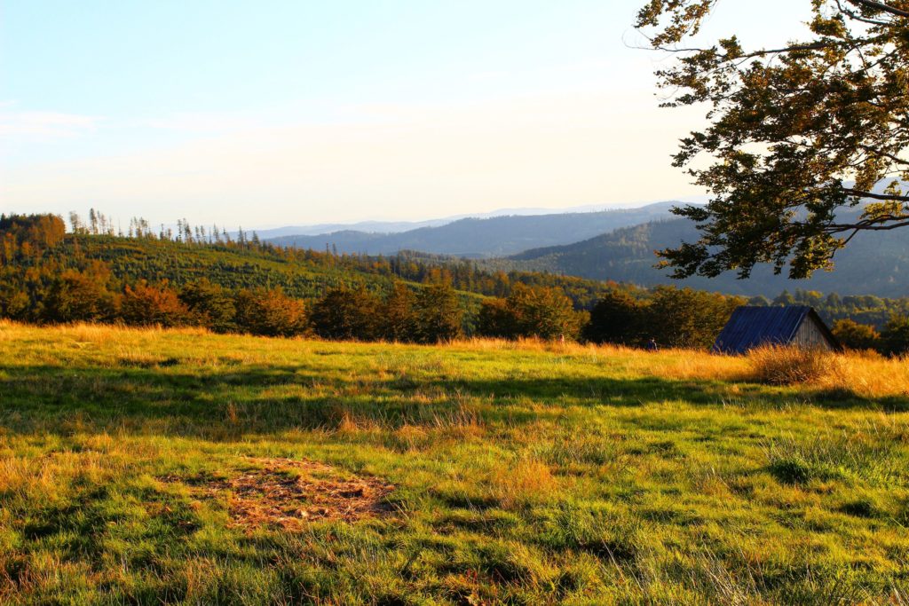 stary szałas pasterski na Hali Jaworowej, wczesna jesień, żółcąca się trawa, widoki górskie