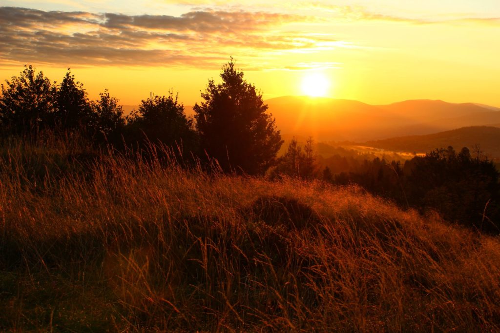 wschód słońca na Koczym Zamku, oświetlona przez promienie słoneczne trawa, drzewa, w oddali góry