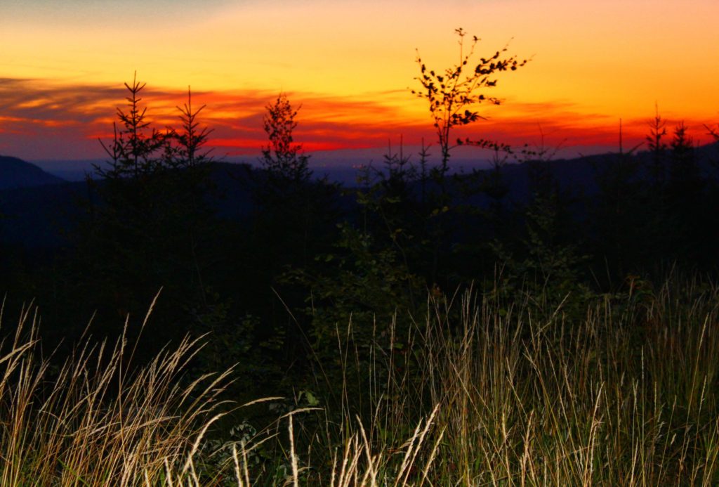 zachód słońca w okolicach Białego Krzyża w Szczyrku, pomarańczowe niebo, drzewa oraz sucha trawa