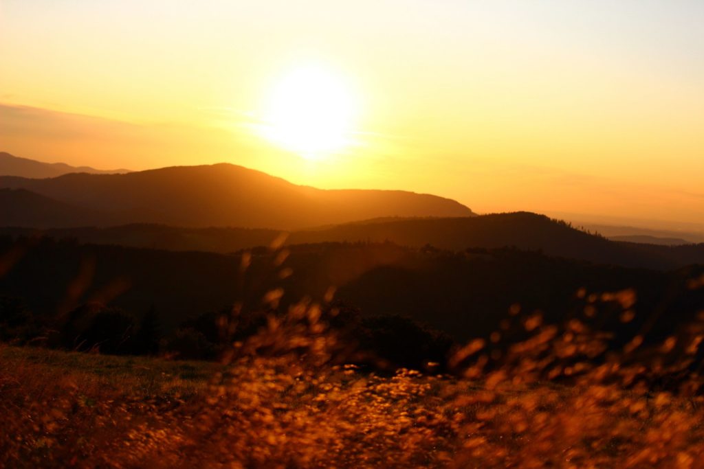 zachód słońca w Beskidach na Hali Jaworowej, poamarańczowe niebo, żółta, jesienna trawa