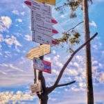 Żółta tabliczka oznaczająca szczyt Grabowa położony 905 m n.p.m. białe tabliczki opisujące czerwony szlak