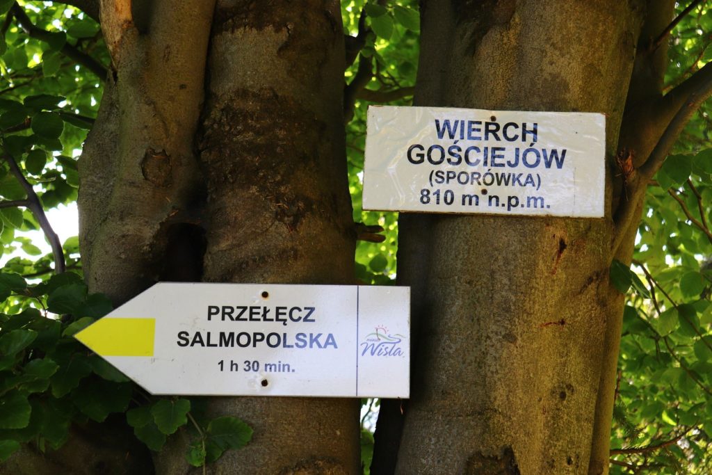 Biała tabliczka wisząca na drzewie - WIERCH GOŚCIEJÓW (SPORÓWKA) - 810 m n.p.m.