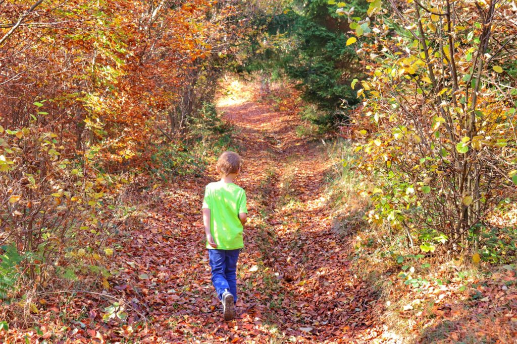 Dziecko idące przez las po suchych, brązowych liściach