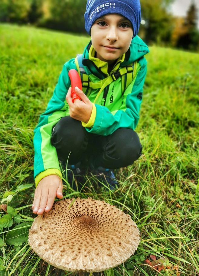 Dziecko, ogromny grzyb - czubajka kania, Góra Zabawa - Rajcza - Beskidy