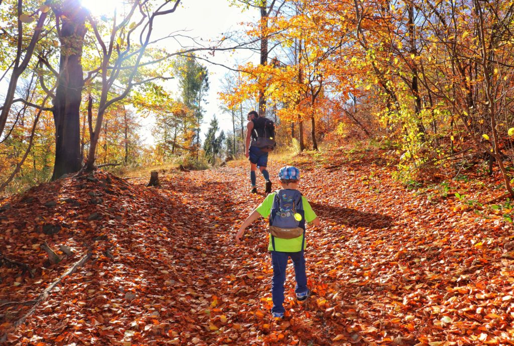 Dziecko oraz mężczyzna idący po suchych liściach drogą leśna, w koło jesień