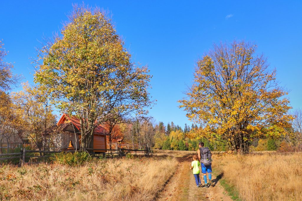 Mężczyzna z dzieckiem idący polaną w okolicy szczytu Wielka Zabawa, drzewa z żółtymi liśćmi, po lewej drewniany dom
