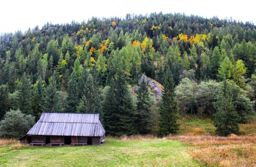 Polana Jaworzynki na której znajduje się drewniany domek pasterski, drzewa, jesienne barwy