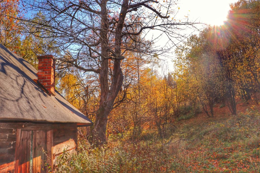 Stary dom położony w lesie, jesienna sceneria, kolorowe liście, słońce przebijające się przez drzewa