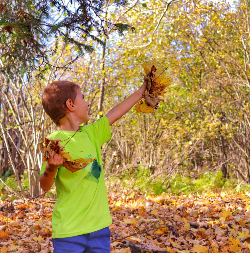 Szczęśliwe dziecko w lesie trzymające w rękach jesienne liście