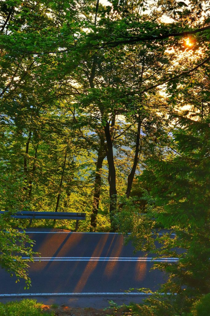 Szlak żółty przecinający drogę wojewódzką 942  prowadzącą do  Wisły, droga oświetlona przez zachodzące słońce