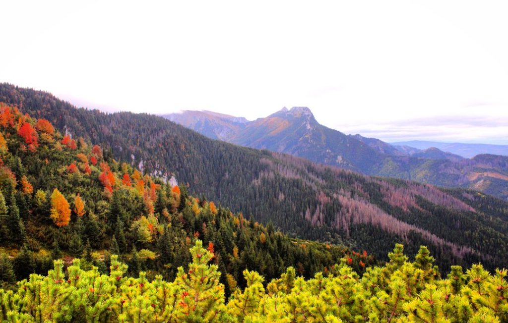 Widok na Giewont z Przełęczy między Kopami, jesienna sceneria