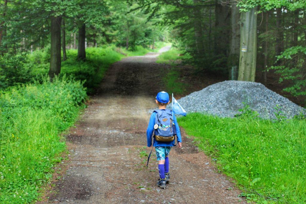 chłopiec idący szeroką, leśną dróżką