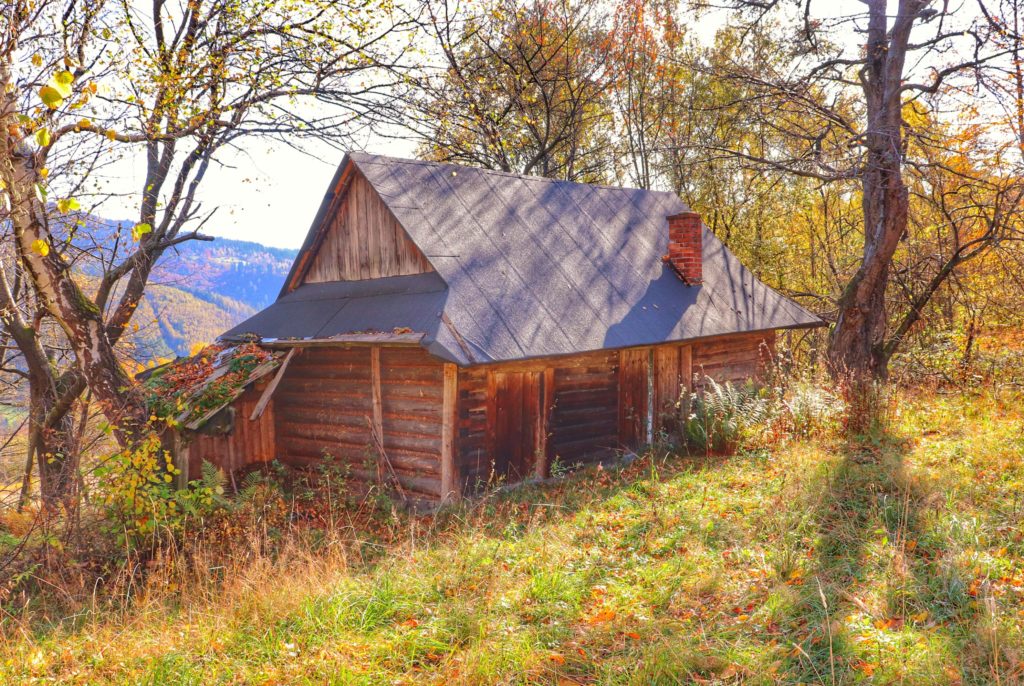 stara, opuszczona chatka położona na drodze leśnej