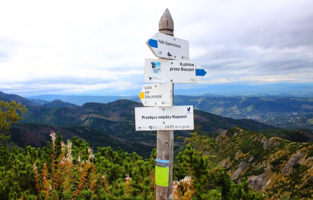 słup z białą tabliczką oznaczającą Przełęcz między Kopami leżącą 1499 metrów nad poziomem morza, drogowskaz opisujący żółty oraz niebieski szlak, w tle widoki na tatrzańskie szczyty