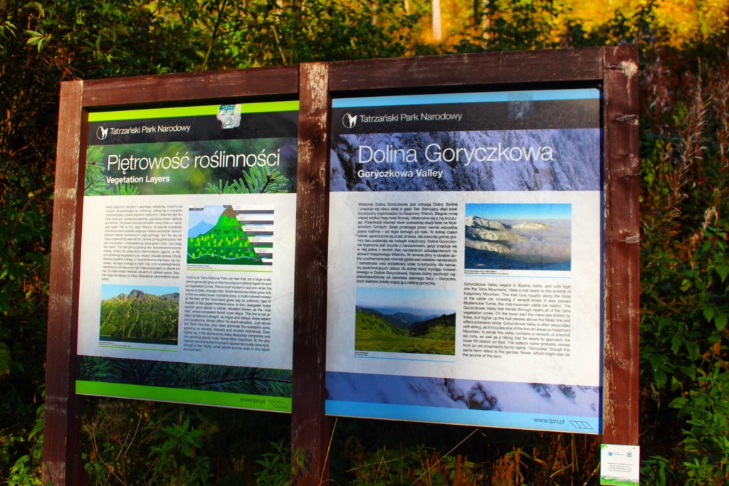 tablice informacyjne na zielonym szlaku na Kasprowy Wierch opisujące piętrowość roślinności oraz Dolinę Goryczkową