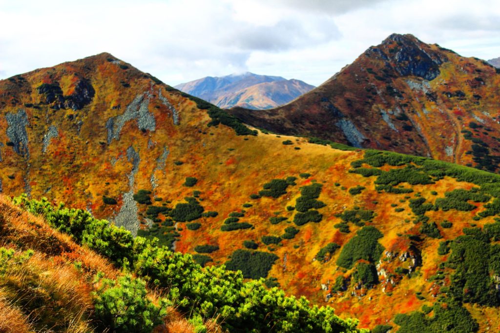 tatrzańskie szczyty w jesiennych barwach, żółtych, czerwonych