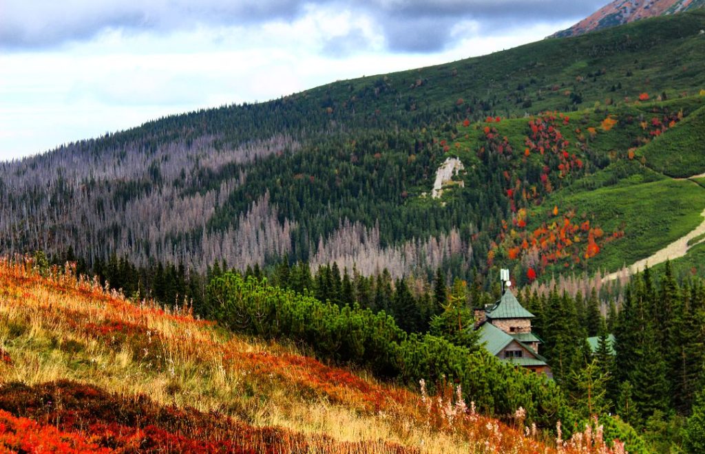 widok na Schronisko PTTK Murowaniec z góry, jesienna sceneria