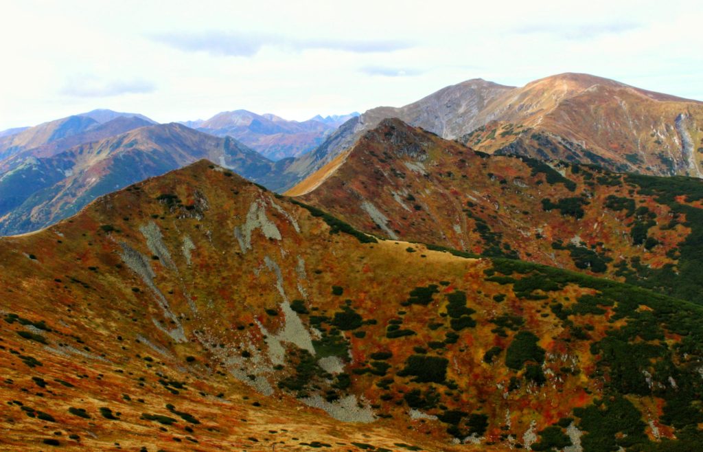 widok na tatrzańskie szczyty w jesiennych barwach ze szlaku zielonego prowadzącego na Kasprowy Wierch
