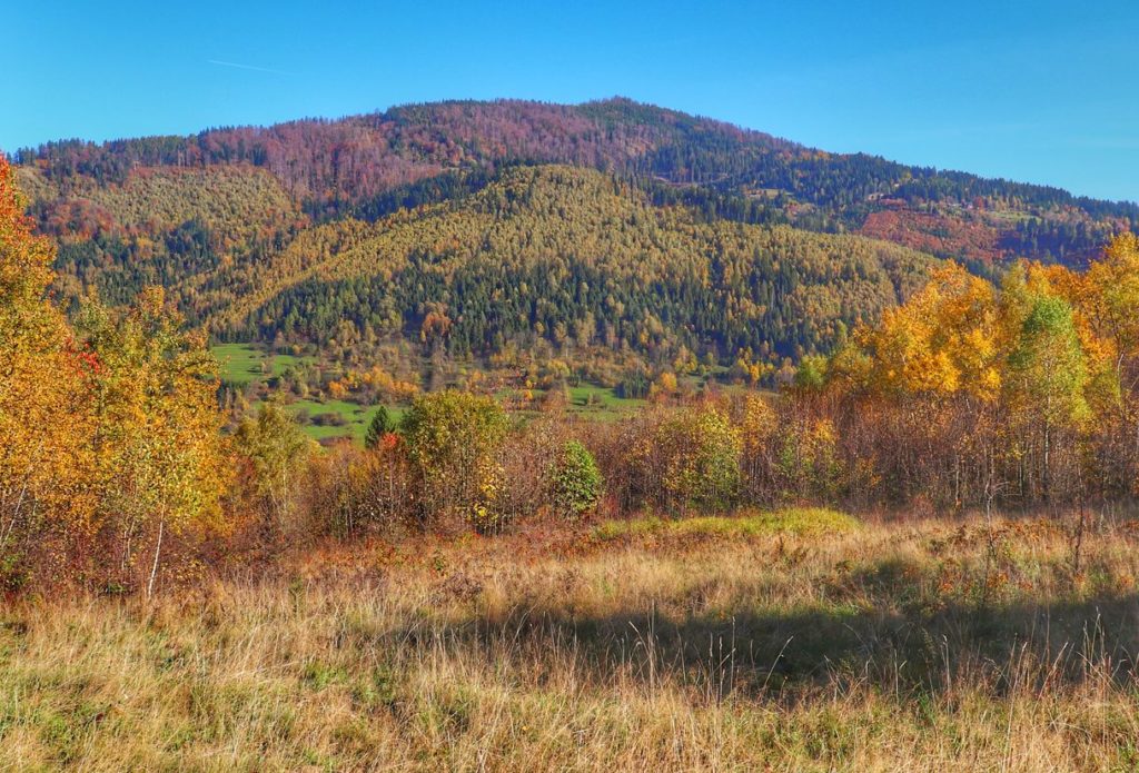 widok z Rajczy Dolnej na pobliskie góry w jesiennej odsłonie, kolorowe liście na drzewach
