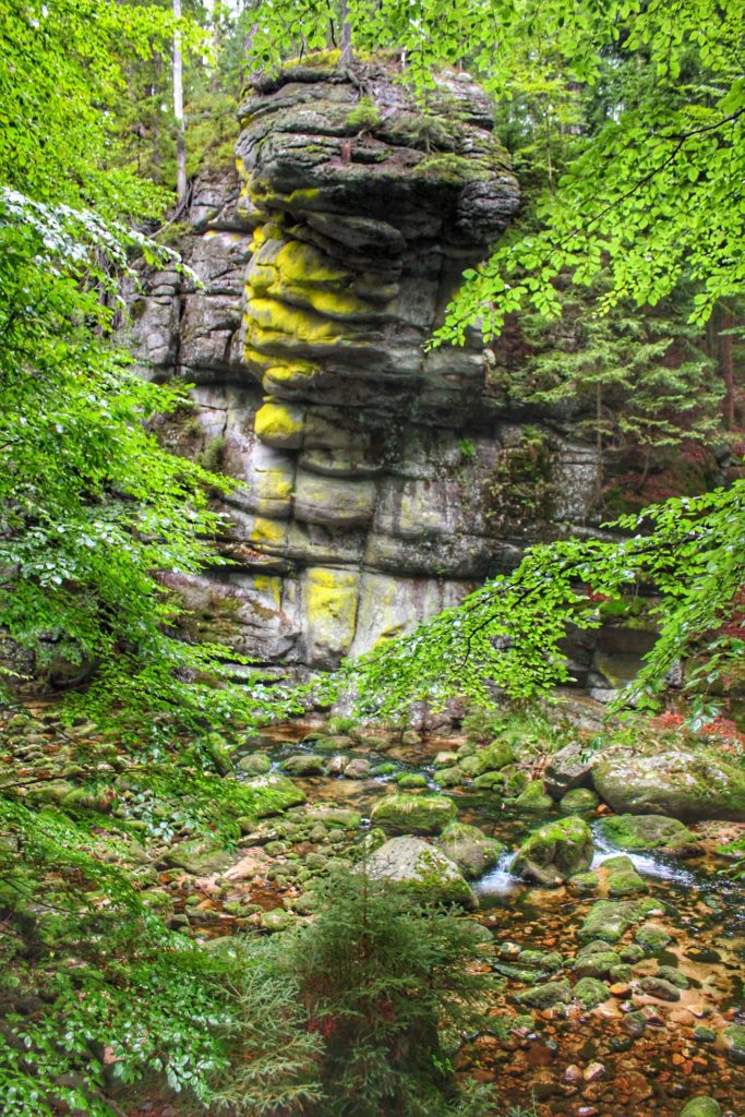 wysokie skały między drzewami na szlaku niebieskim prowadzącym do Wodospadu Szklarki