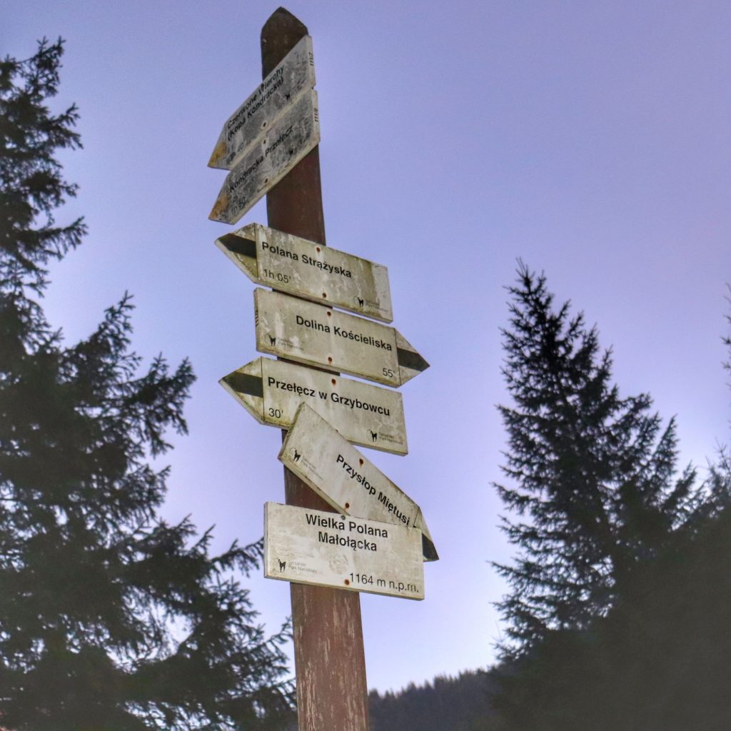 Biała tabliczka oznaczająca Wielką Polanę Małołącką 1164 metry oraz tablice opisujące czarny szlak