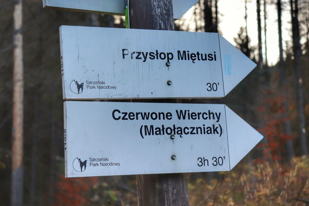 Białe tablice informujące nas o niebieskim szlaku prowadzącym na Przysłop Miętusi, dalej na Małołączniak