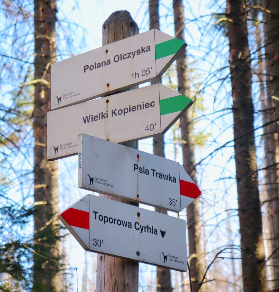 Drewniany słup z drogowskazami opisującymi szlak czerwony na Psią Trawkę oraz zielony szlak na Wielki Kopieniec