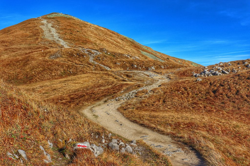 Podejście pod Kopę Kondracką od szczytu Małołączniak na czerwonym szlaku, jesienna trawa, niebieskie niebo