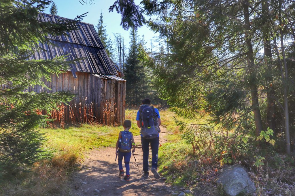 dziecko maszerujące z tatą szeroką leśną dróżką, po prawej stronie stara, drewniana chata