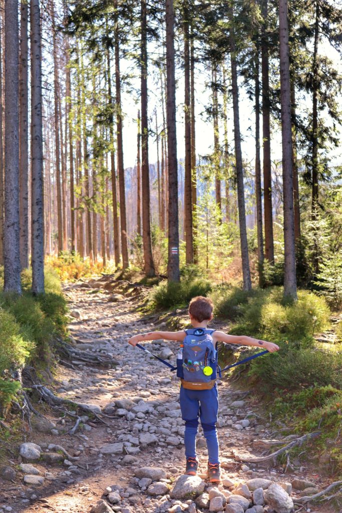 dziecko stojące tyłem z rozłożonymi rękami na leśniej ścieżce, na tatrzańskim szlaku, podłoże kamieniste