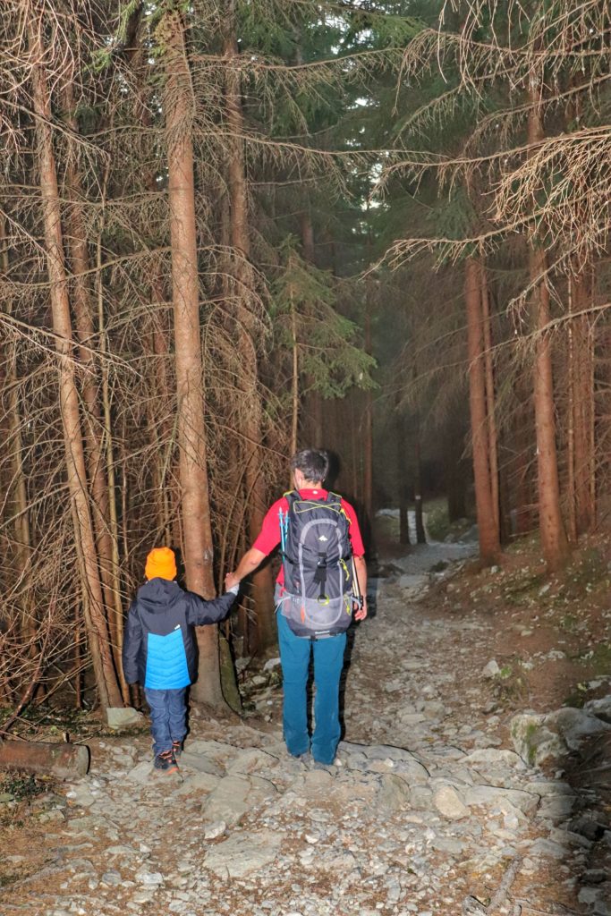 mężczyzna z chłopcem idący przez ciemny las