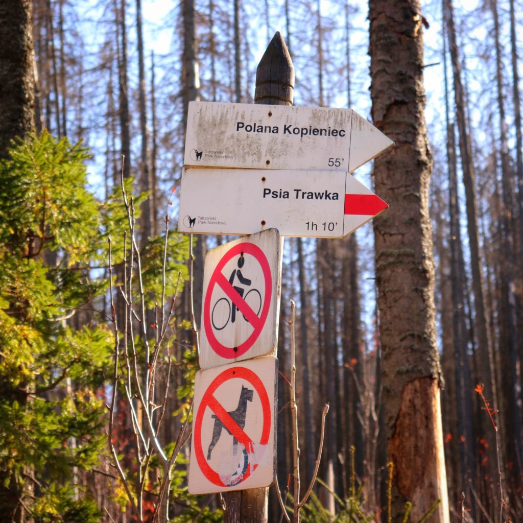 słup z tabliczkami - drogowskazami, opisującymi szlak czerwony na Psią Trawkę oraz zielony na Polanę Kopieniec