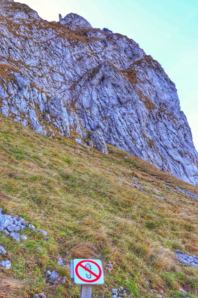widok na wznoszące się nad Kobylarzowym Żlebem skały, znak zakazu wstępu