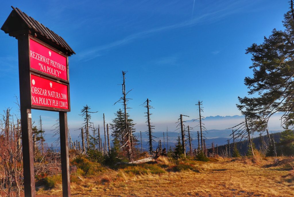 widok ze szczytu Polica na Tatry, tablice czerwone oznaczająca rezerwat przyrody NA POLICY oraz Obszar Natura 2000