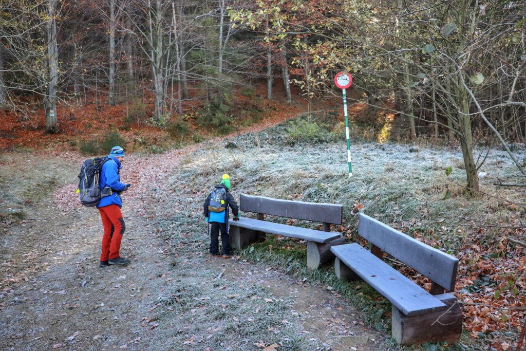 Mężczyzna i dziecko na leśnej drodze, dziecko bawi się samochodzikiem na ławce