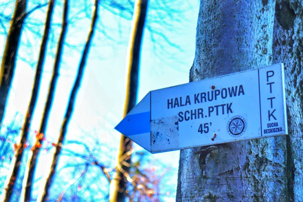 Tablica - strzałka wisząca na drzewie, informująca, że niebieskim szlakiem dojdzie się do schroniska na Hali Krupowej w czasie 45 minut
