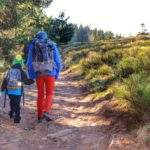 Turysta idący z dzieckiem szeroką dróżką, po lewej stronie las iglasty, po prawej pole z krzakami borówek