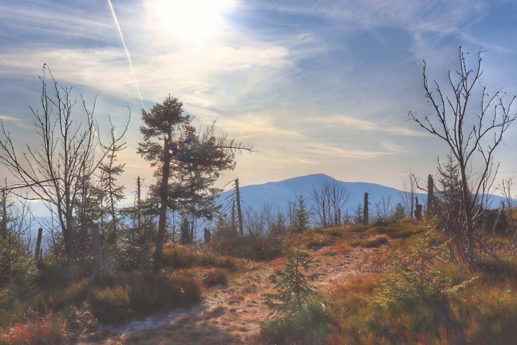 Widok na Babią Górę ze szczytu Polica, jesienny, słoneczny dzień